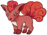 pokemon53